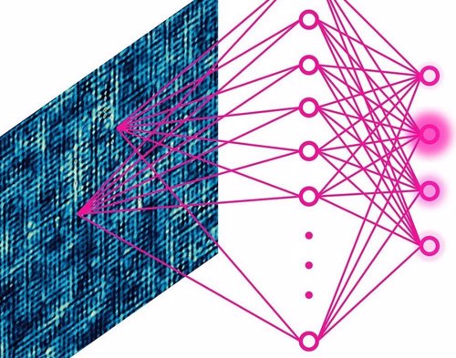 Ilustración esquemática de red neuronal para el propósito del estudio
