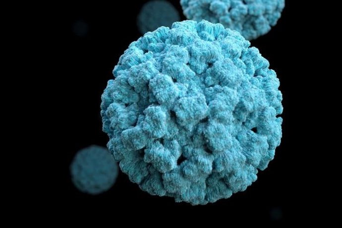 Investigadores descubren un potente anticuerpo que inhibe múltiples cepas de nor