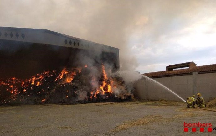 Nueve dotaciones de bomberos trabajan en el incendio de Linyola (Lleida)