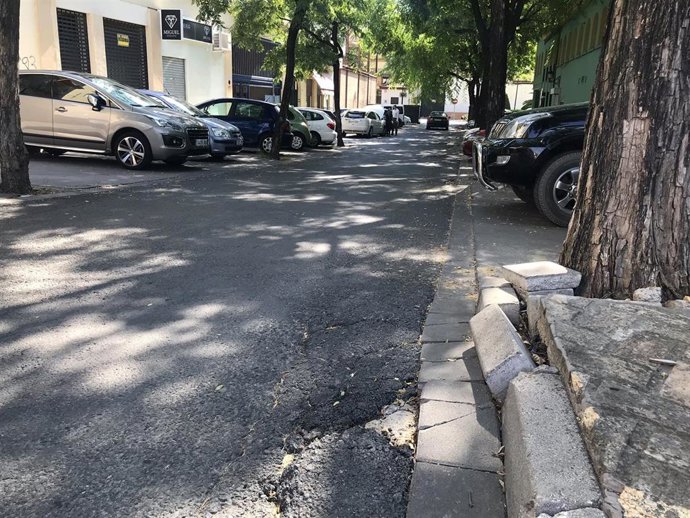 Arboleda en el Callejón del Huerto