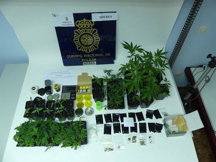 Elementos incautados en una floristería cuyo dueño ha sido detenido por tráfico de drogas.