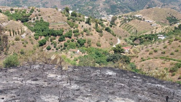 Paraje de Almuñécar donde se ha declarado un incendio