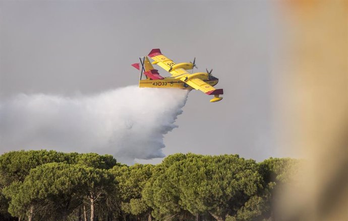 Efectivos en el incendio de Moguer (Huelva)