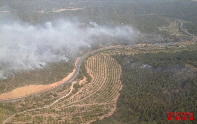 Incendio forestal en Maials (Lleida) junto a la C-12