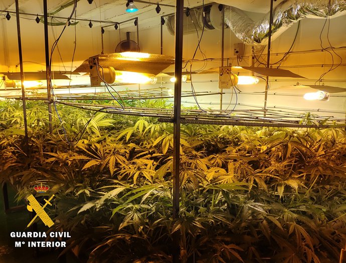 Nota De Prensa. Guardia Civil Burgos