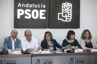 PSOE-A presenta 275 enmiendas al Presupuesto por más de 900 millones para "frenar la hemorragia" de servicios públicos