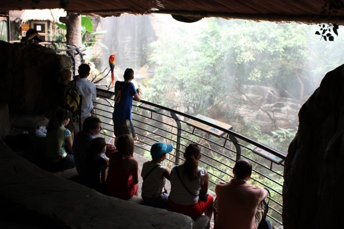 Tormentas tropicales en Faunia.