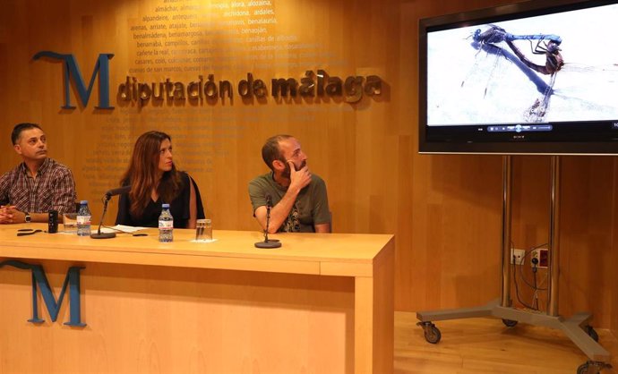 Bravo Diputación de Málaga medio ambiente potencial ornitológico especies de aves diferentes