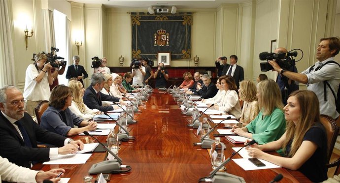 El ministro del Interior en funciones, Fernando Grande-Marlaska (6d) y la vicepresidenta del Gobierno en funciones, Carmen Calvo (4d), durante la reunión de instituciones del Observatorio contra la Violencia Doméstica y de Género en la sede del Consejo 