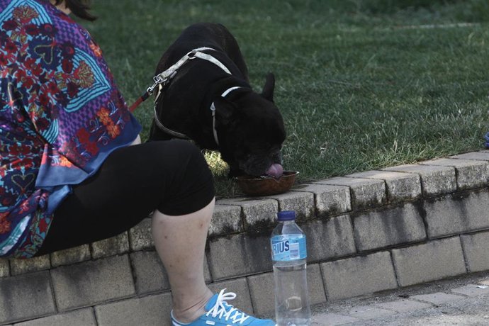 Recursos de calor, verano, sol, buen tiempo