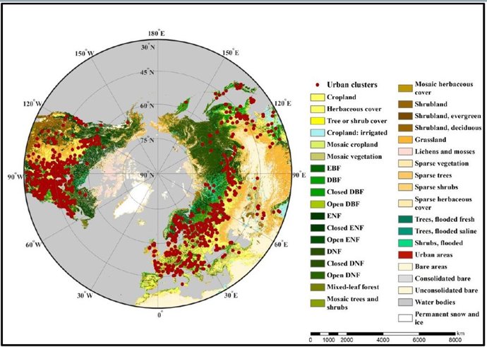Las ciudades, laboratorios naturales para prever la adaptación de la vegetación 
