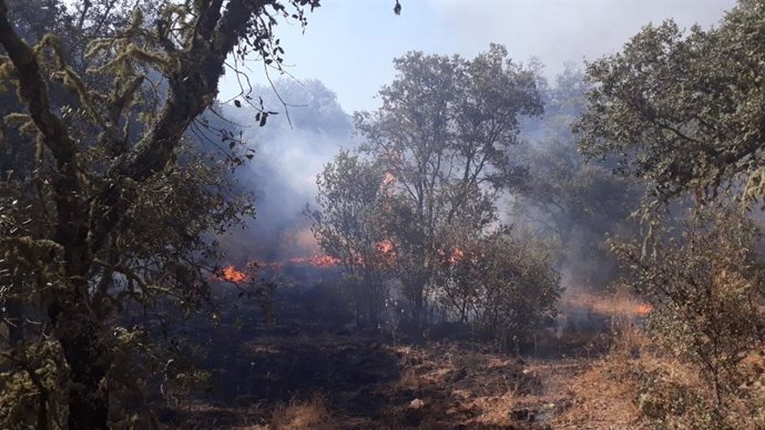 Incendio en Villaviciosa de Córdoba