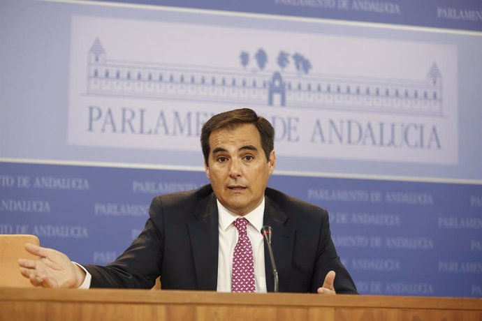 Rueda de prensa del portavoz parlamentario del PP-A, José Antonio Nieto