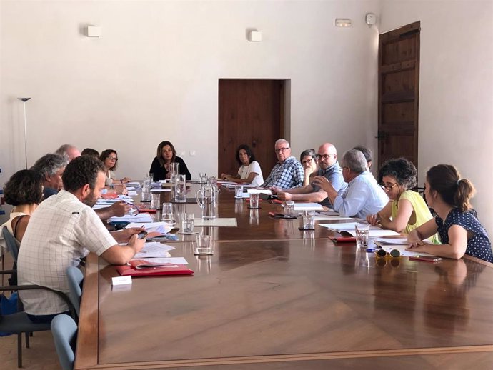 Reunión de los miembros del Consejo de Cultura de Baleares (CCIB), presidida por la consellera de Cultura, Participación y Deportes en funciones, Fanny Tur.