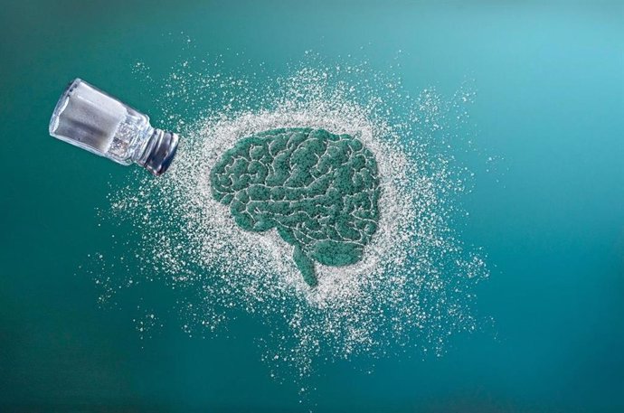 Antojos de sal (sodio) en el cerebro