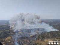 Evacuen masies pel foc a Torre de l'Espanyol (Tarragona) que afecta 500 hectàrees