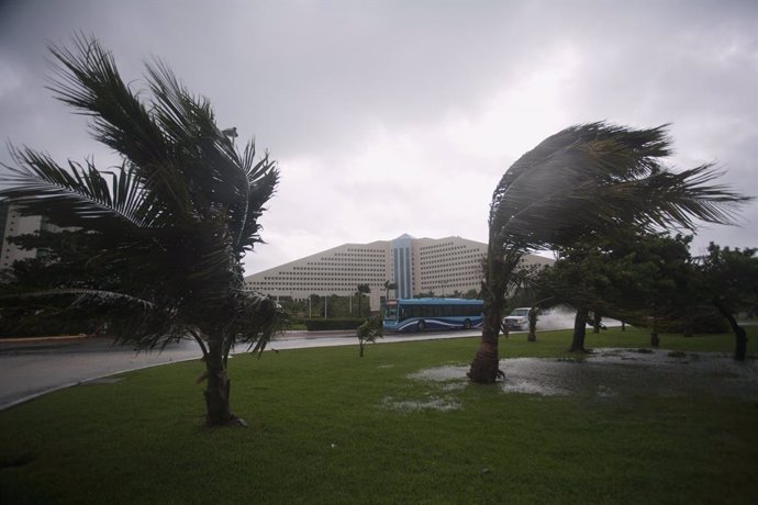 Palm trees sways as the wind blows in the hotel zone in Cancun