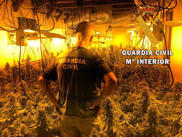 Plantación de marihuana en un chalet de Felix (Almería)