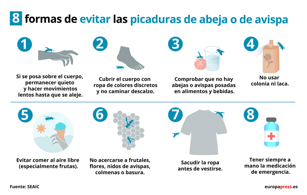 qu-hacer-tras-una-picadura-de-abeja-o-avispa