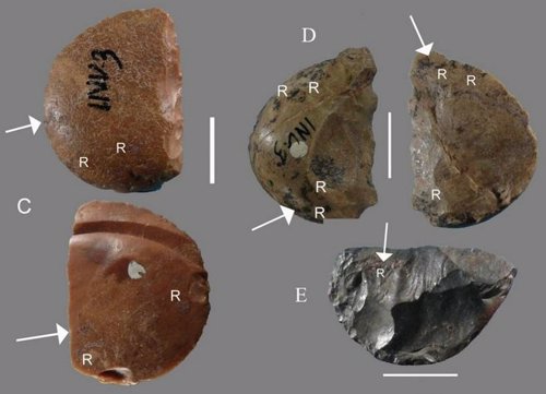 Trazas de resina en herramientas neandertales