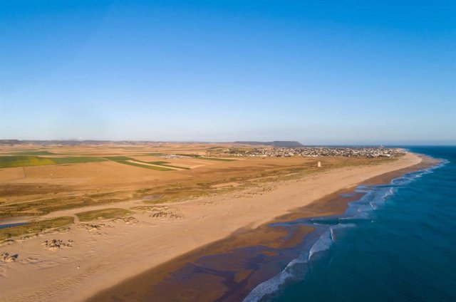 Playa El Palmar, en Cádiz