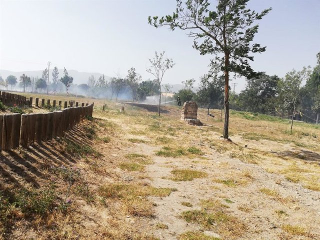Incendios.- Un fuego en Madrona (Segovia) hace saltar las alarmas por el fuerte viento en la provincia