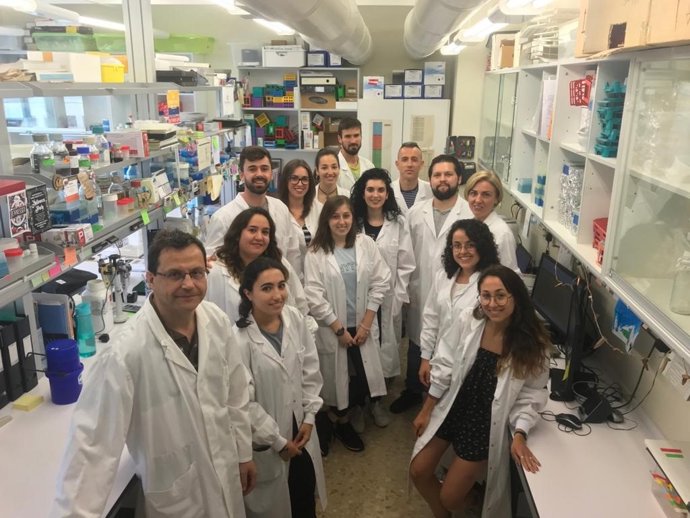 Equipo De Investigación Del Laboratorio De Genómica Traslacional (Departamento De Genética) De La Universitat De Valncia