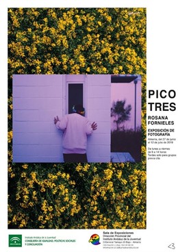 Cartel de la exposición 'Pico Tres'