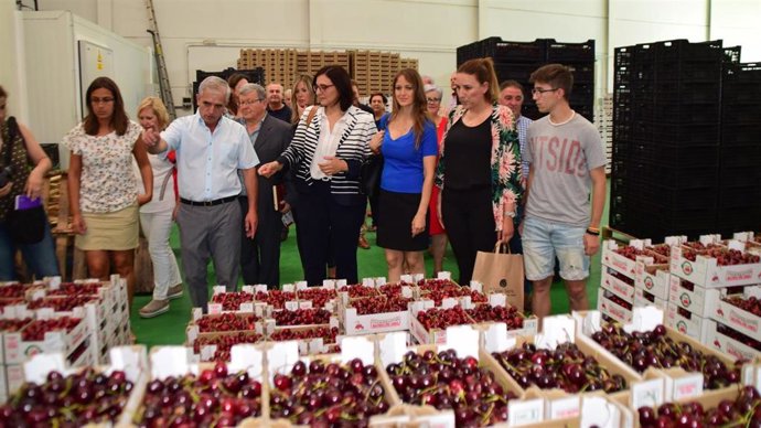 Maitena del Genil inaugura la campaña de su cereza güejareña