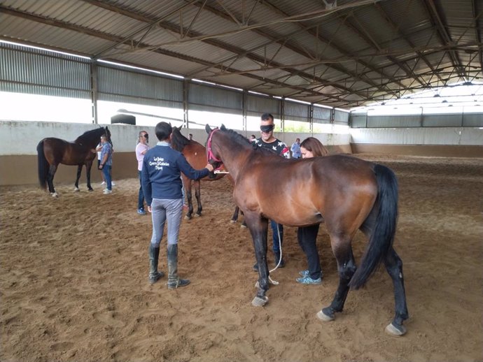 Internos del centro penitenciario de Huelva hacen coaching con caballos.