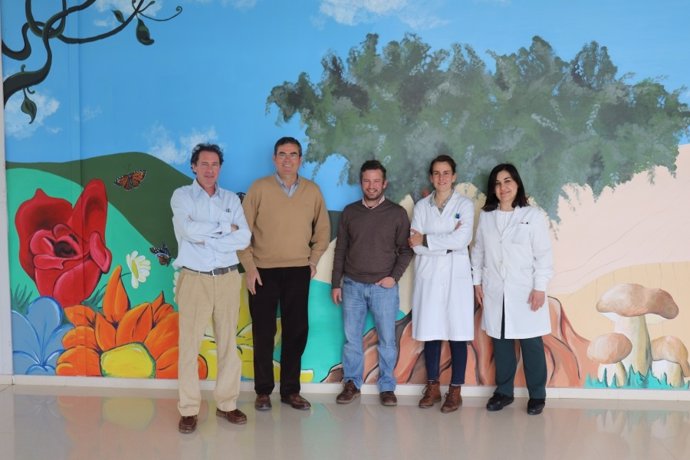 Córdoba.- El proyecto 'Biocontrol-A' lucha contra las aflatoxinas, un peligroso 
