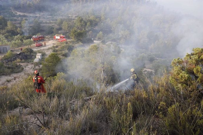 Efectius de la UME i bombers de la Generalitat en l'extinció de l'incendi