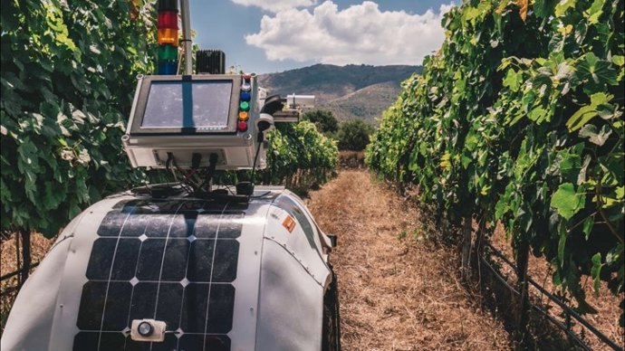 El Cetal organiza este lunes en Meis (Pontevedra) una jornada sobre nuevas tecnologías en viticultura.