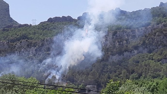 Bomberos y varios aviones colaboran en la extinción de un incendio en Sobrón (Álava).