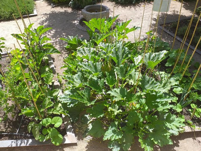 Huerto del Museo del Greco (Toledo)