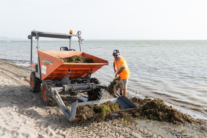 Un técnico durante las labores de limpieza y mantenimiento