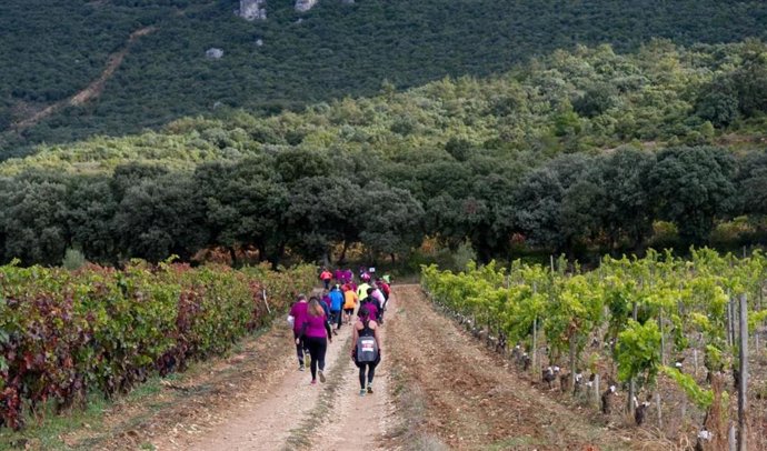 Edición 2018 de la Rioja Alavesa Wine Run