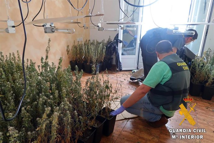 Plantas intervenidas en Gádor