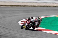 Gardner y Antonelli firman las poles de Moto2 y Moto3 en Assen