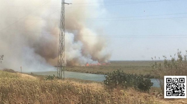 Incendio en Gibraleón
