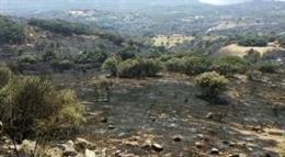 Imagen del incendio de Almorox-Cadalso