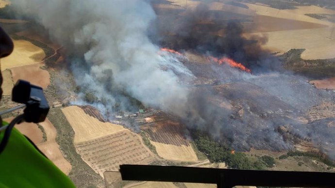 Incendio forestal Villanueva de Huerva.