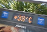 Piden dos años de cárcel al dueño de los perros que murieron en un coche a 43 grados en Córdoba