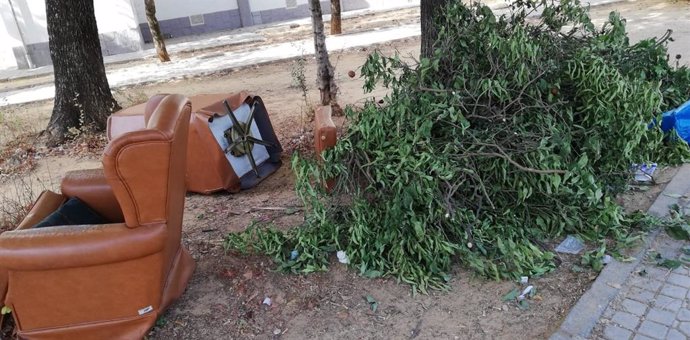 Una foto tomada en la avenida de la Soleá esta semana sobre la suciedad en las calles
