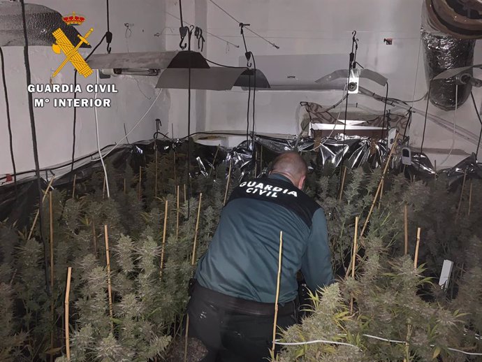 Córdoba.- Sucesos.- Diez detenidos tras desmantelar siete cultivos de marihuana 