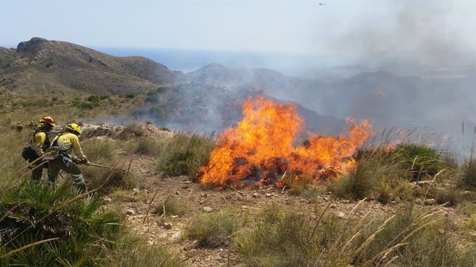 Imágenes del incendio facilitada por la Dirección General del Medio Natural y tomadas desde helicóptero de la DGSCE