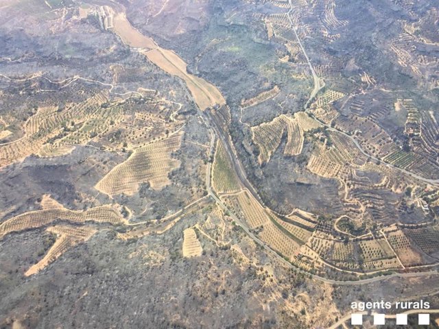 Imágenes de la superficie afectada por el incendio de La Ribera d'Ebre (Tarragona).