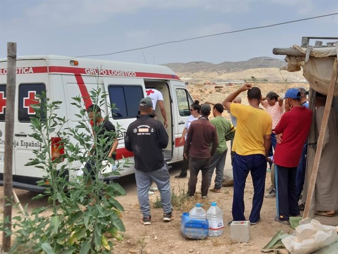 Almería.- Cruz Roja distribuye más de 430.000 kilos de alimentos entre 7.800 fam
