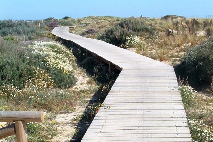 Cádiz.- La Junta lamenta el error de diseño del sendero peatonal de Camposoto cu