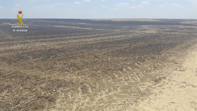 Sevilla.-Sucesos.- Investigado un vecino de El Viso, de 67 años, como presunto a